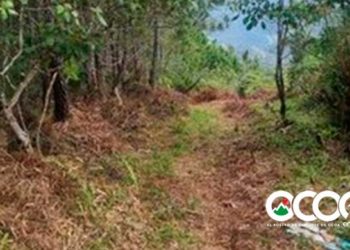 Medio Ambiente descarta daños ecológicos Parque Nacional Luis Quinn