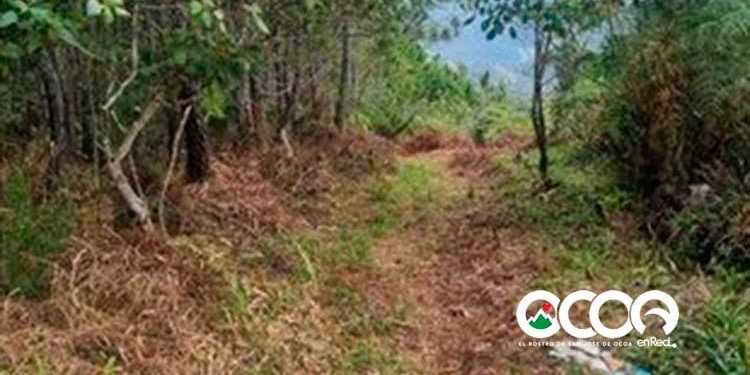 Medio Ambiente descarta daños ecológicos Parque Nacional Luis Quinn