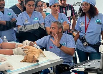 Tecnomed Caribbean patrocina Primer Curso Internacional de Cirugía Veterinaria en RD