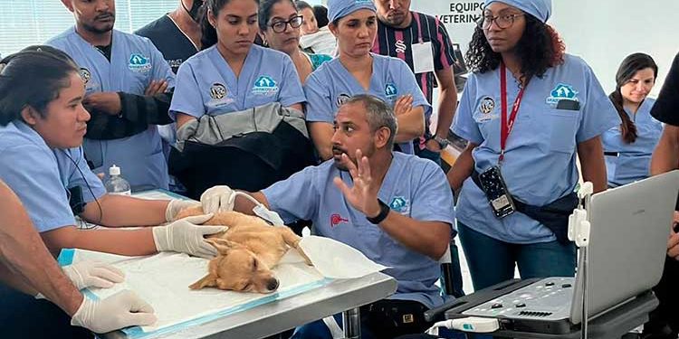 Tecnomed Caribbean patrocina Primer Curso Internacional de Cirugía Veterinaria en RD