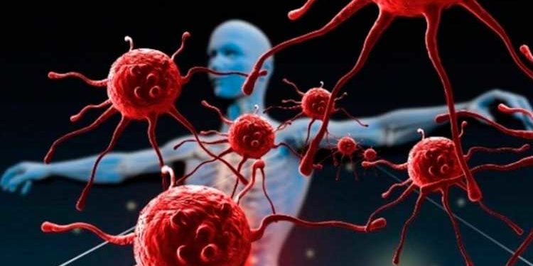 Cómo cuidar el sistema inmune para llegar a los 100 años