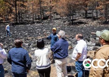 Abinader anuncia plan de acción para regenerar zonas afectadas por incendios en Valle Nuevo y todo el país