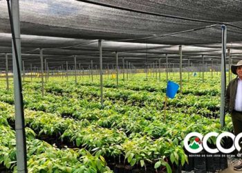 Hipólito Mejía pide reconocer al empresario Manuel Castillo por ser el mayor productor de aguacate del país y el mundo