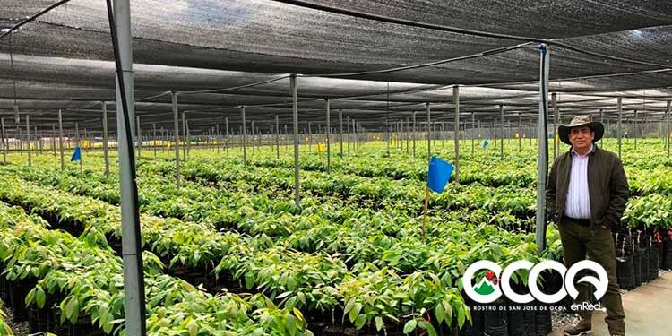 Hipólito Mejía pide reconocer al empresario Manuel Castillo por ser el mayor productor de aguacate del país y el mundo