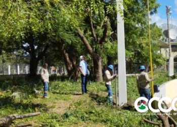 Ocoa de Pie: “No estamos opuesto a los trabajos del polideportivo, exigimos menor daño a la vegetación”