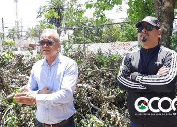 Autoridades deportivas de Ocoa desmienten tala de árboles en el Complejo deportivo de Ocoa