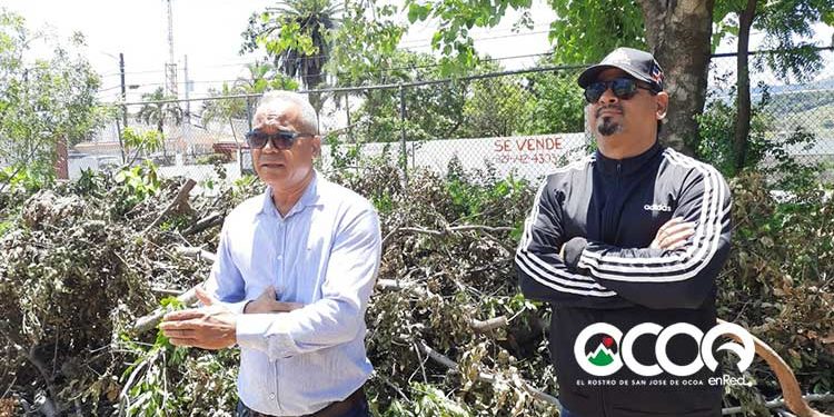 Autoridades deportivas de Ocoa desmienten tala de árboles en el Complejo deportivo de Ocoa