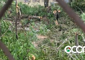 Ocoa de Pie: “Ha sido un crimen al medio ambiente lo ocurrido en complejo deportivo”; apoya posición Milciades Mejía