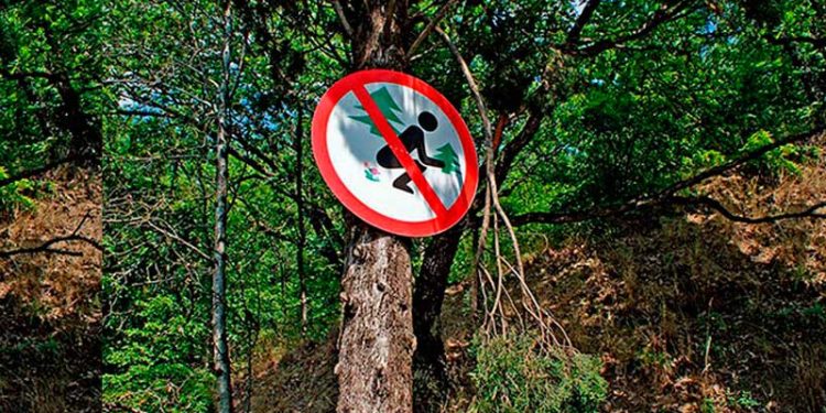 Unos 200 mil dominicanos defecaron fuera del “cajón” en 2020, según estudio