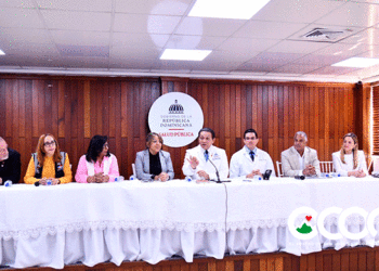 Ocho personas fallecidas por dengue