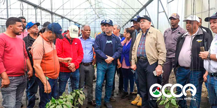 Agricultura promete ayudas a   productores de Ocoa