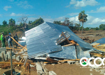 Medio Ambiente desmonta caseta construida de manera ilegal en Las Dunas