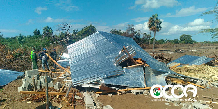 Medio Ambiente desmonta caseta construida de manera ilegal en Las Dunas