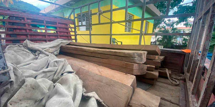 ¡Aleluya! Medio ambiente apresa  en Sabana Larga hombre acusado de traficar con ébano verde