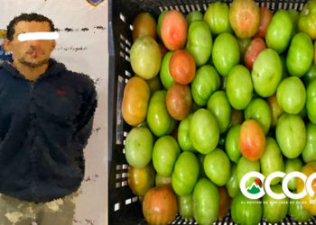 Policía Ocoa apresa hombre acusado de robar supuestamente una caja de tomates