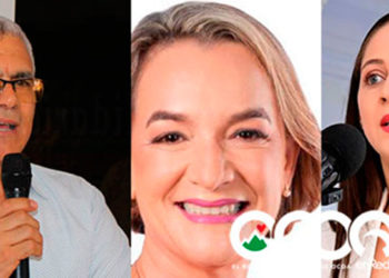 Diputada Josefa Mejía denuncia destrucción de sus vallas publicitarias