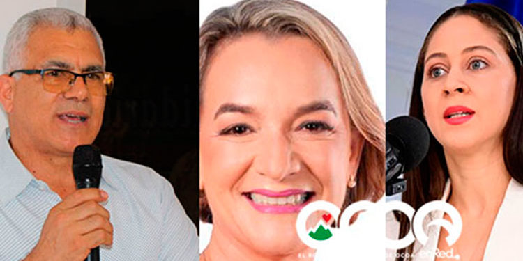 Diputada Josefa Mejía denuncia destrucción de sus vallas publicitarias