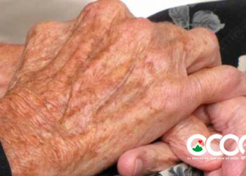 Solo cinco pensiones solidarias de 478 otorgadas por el gobierno han llegado a Ocoa