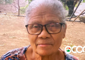 Familiares y organismos de socorro continúan búsqueda de mujer desparecida