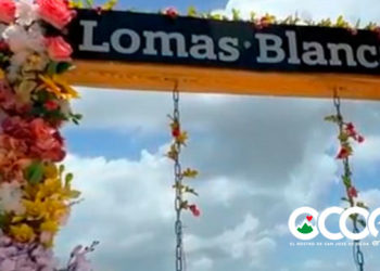 Lomas Blancas