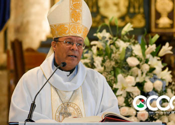 Papa Francisco nombra nuevo obispo de Baní y Ocoa