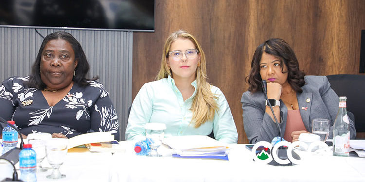 Convocan vistas públicas para la reforma fiscal el próximo jueves en Cámara de Diputados