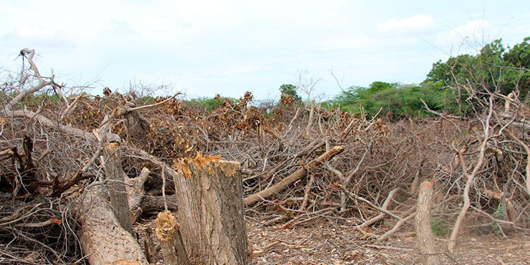 Fundación Ocoa de Pie respalda editorial del LISTÍN DIARIO en defensa de Las Dunas