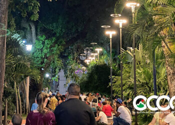 Este es el horario de venta bebidas alcohólicas para las festividades navideñas