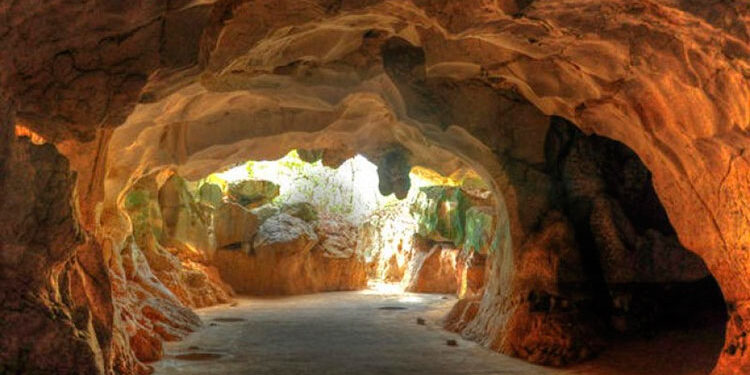 Comisión Medio Ambiente de Academia de Ciencias respalda el cese de mineras en entorno de las Cuevas del Pomier