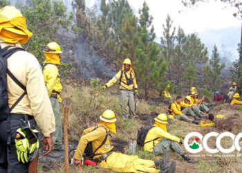 Héroes de nuestras montañas, ellos evitaron una tragedia ambiental en zona El Pinar