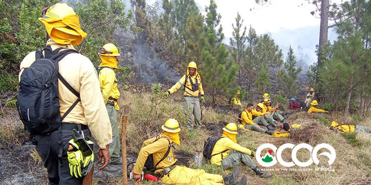 Héroes de nuestras montañas, ellos evitaron una tragedia ambiental en zona El Pinar