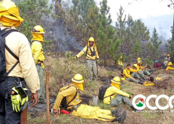 Medio Ambiente informa incendio zona alta El Pinar sofocado en su totalidad