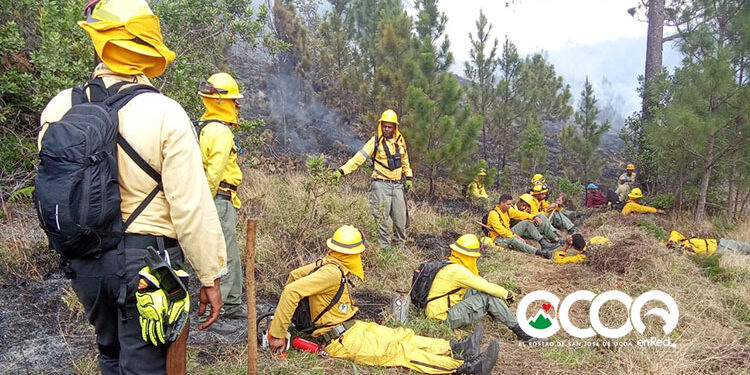 Medio Ambiente informa incendio zona alta El Pinar sofocado en su totalidad