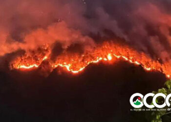 Voraz incendio afecta comunidades montañosas zona alta El Pinar