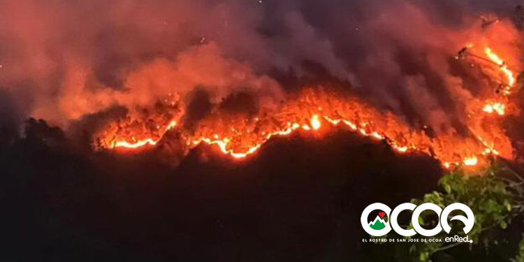 Voraz incendio afecta comunidades montañosas zona alta El Pinar