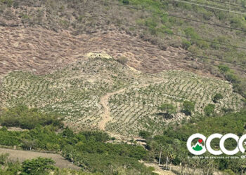 Alerta ambiental en San José de Ocoa