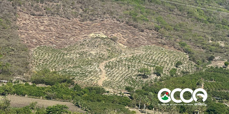 Alerta ambiental en San José de Ocoa