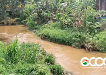 Pesticidas y materia fecal  amenazan la existencia del río Banilejo