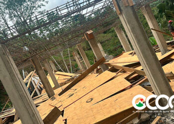 VIDEO |  Denuncian destrucción de viviendas y atropellos en comunidad La Peñita de Rancho Arriba