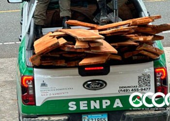 VIDEO |  Denuncian destrucción de viviendas y atropellos en comunidad La Peñita de Rancho Arriba