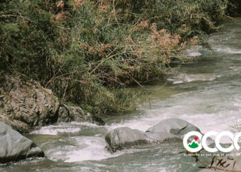 Infectólogos advierten sobre bacterias detectadas en cuatro  ríos; sugieren medidas