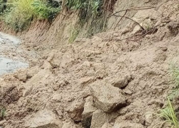 Melissa causa estragos en Rancho Arriba: más de 300 familias incomunicadas y pérdidas agrícolas