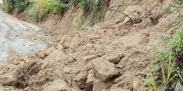 Melissa causa estragos en Rancho Arriba: más de 300 familias incomunicadas y pérdidas agrícolas