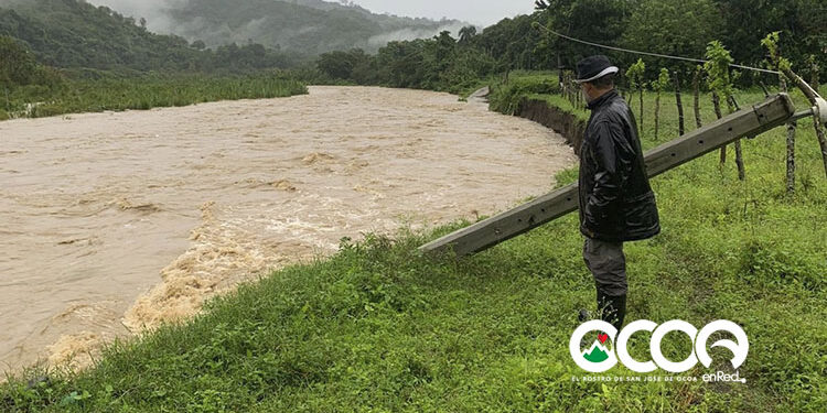 Asocaom califica de desastrosa la situación cafetalera en Rancho Arriba tras el paso de la tormenta Melissa