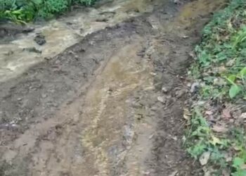 Comunitarios de El Buey exigen arreglo de su carretera