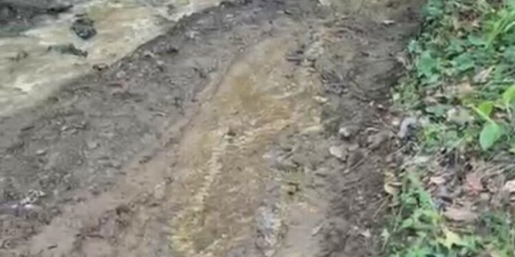 Comunitarios de El Buey exigen arreglo de su carretera