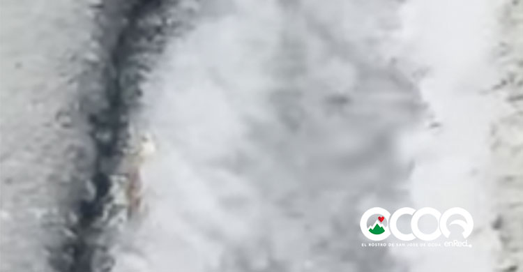 Comunitarios de Sabana Larga denuncian tubería rota en calle principal de Sabana Larga