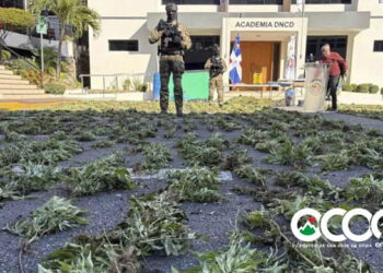 Arrestan a seis hombres por un cargamento de más de dos toneladas de presunta cocaína en Baní