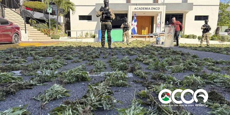 Arrestan a seis hombres por un cargamento de más de dos toneladas de presunta cocaína en Baní