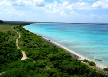 Academia de Ciencias y UASD cuestionan sentencia del TSA que busca modificar límites del Parque Nacional Jaragua